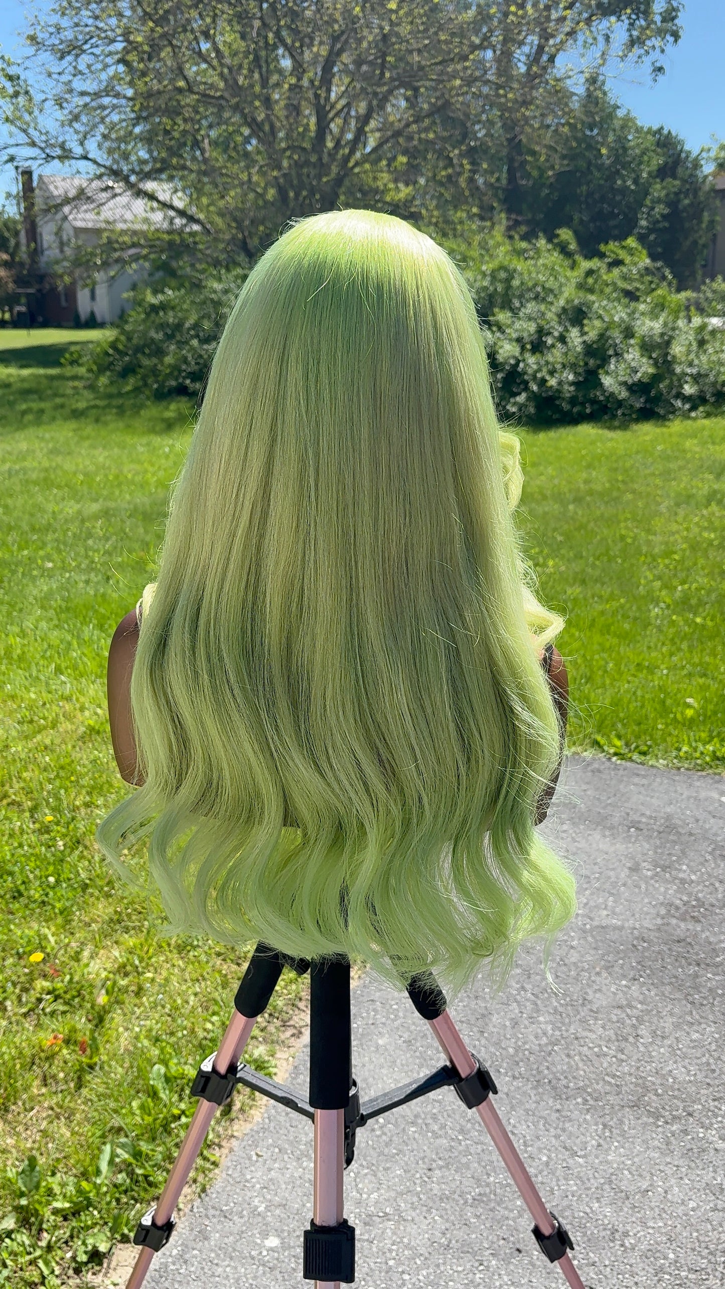 Ivy